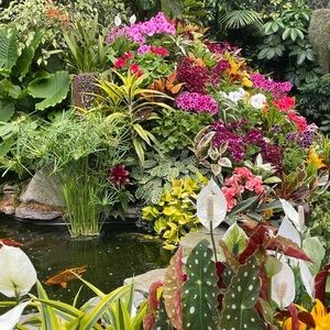 Meet your Posher, Merlyn